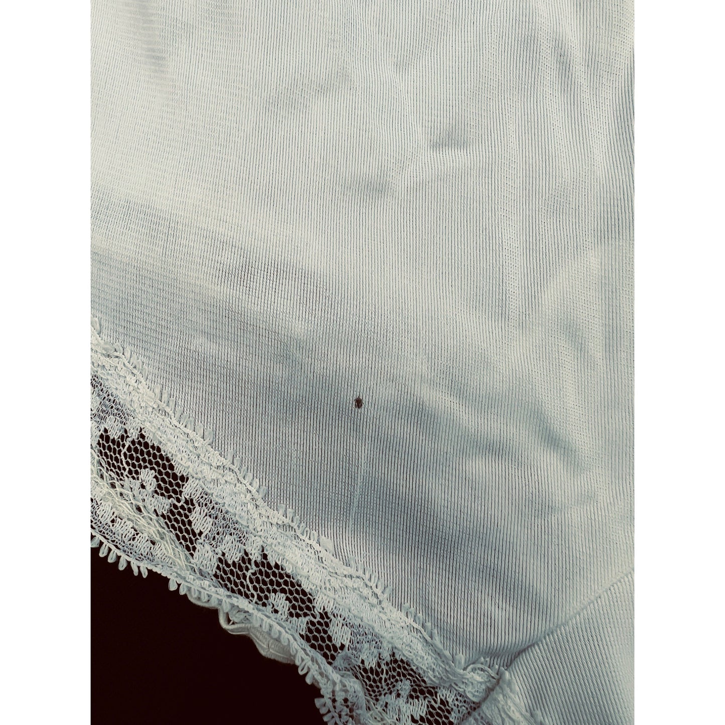 Vintage Lace Panties Bloomers Purple Flower Butterfly Applique Nylon