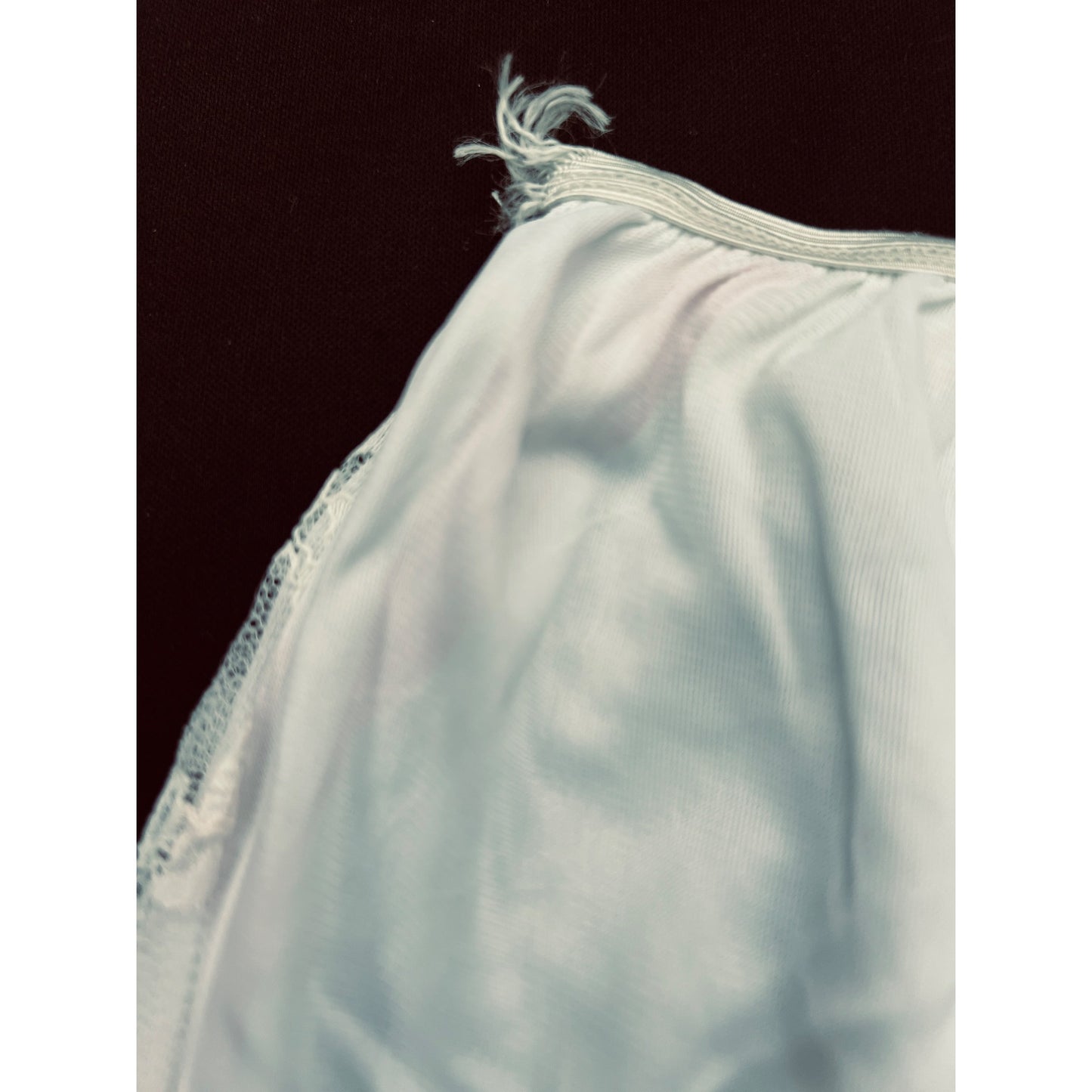 Vintage Lace Panties Bloomers Purple Flower Butterfly Applique Nylon